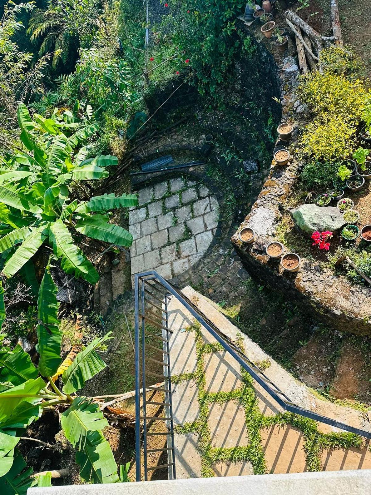 Bennys Home Villa Pīrmed エクステリア 写真